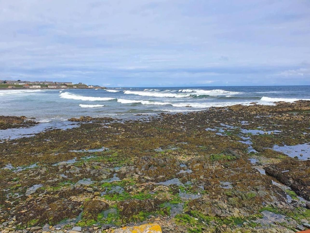 Moray View, Macduff, Aberdeenshire. Exterior foto